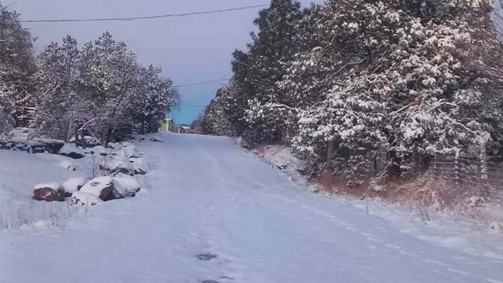 Suspenden clases en 20 municipios de Sonora por intensas nevadas