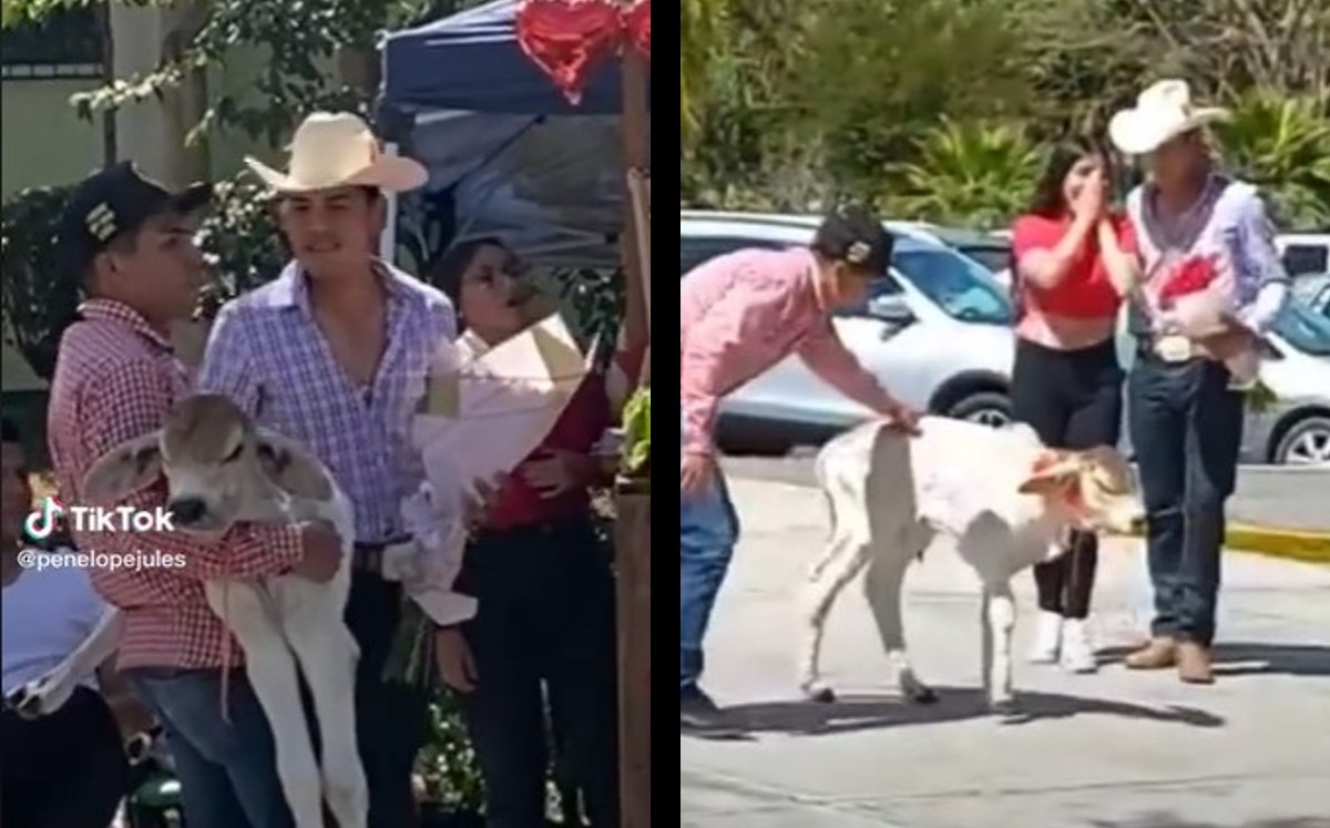 El regalo de  San Valentín fue un éxito en TikTok | ESPECIAL