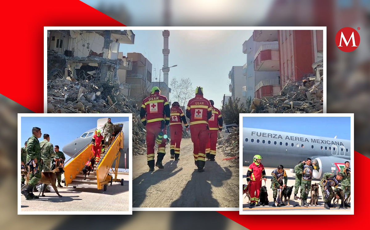 Rescatistas que laboraron en Tuquía llegan a México | Especial/ Diseño