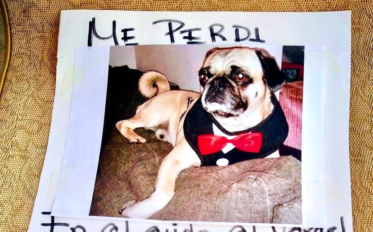 Si tienes información que permita dar con su paradero te puedes comunicar al 656 842 18 67. (Facebook)