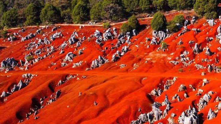 Dunas de Pacula (Facebook)
