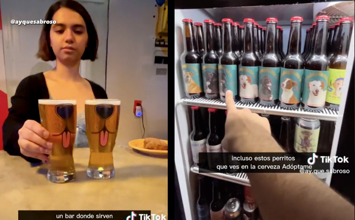 Guautap, cervecería que ayuda a perritos de la calle. | ESPECIAL