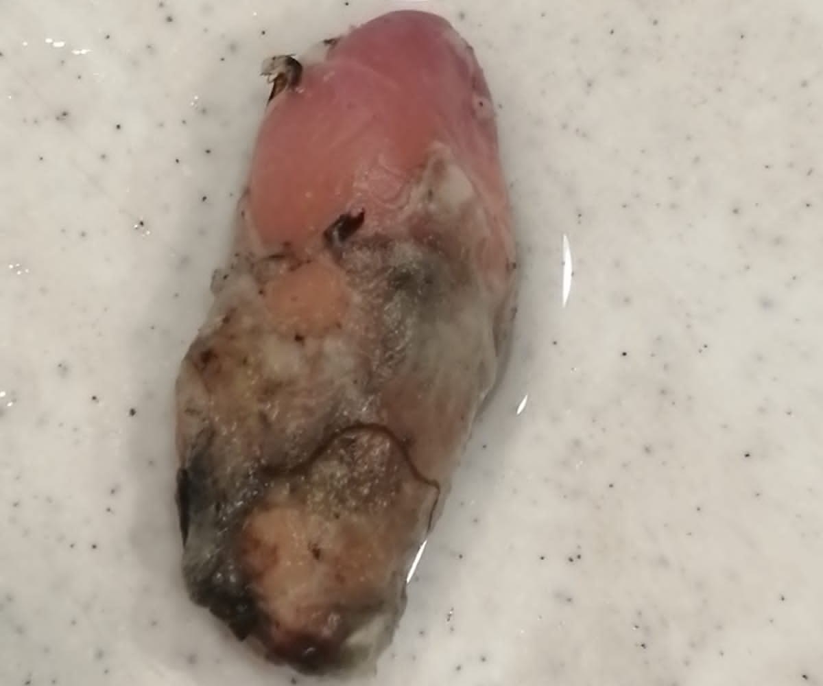 Reportan hallazgo de un dedo amputado en Walmart de Toluca, pero era una salchicha en descomposición. Especial