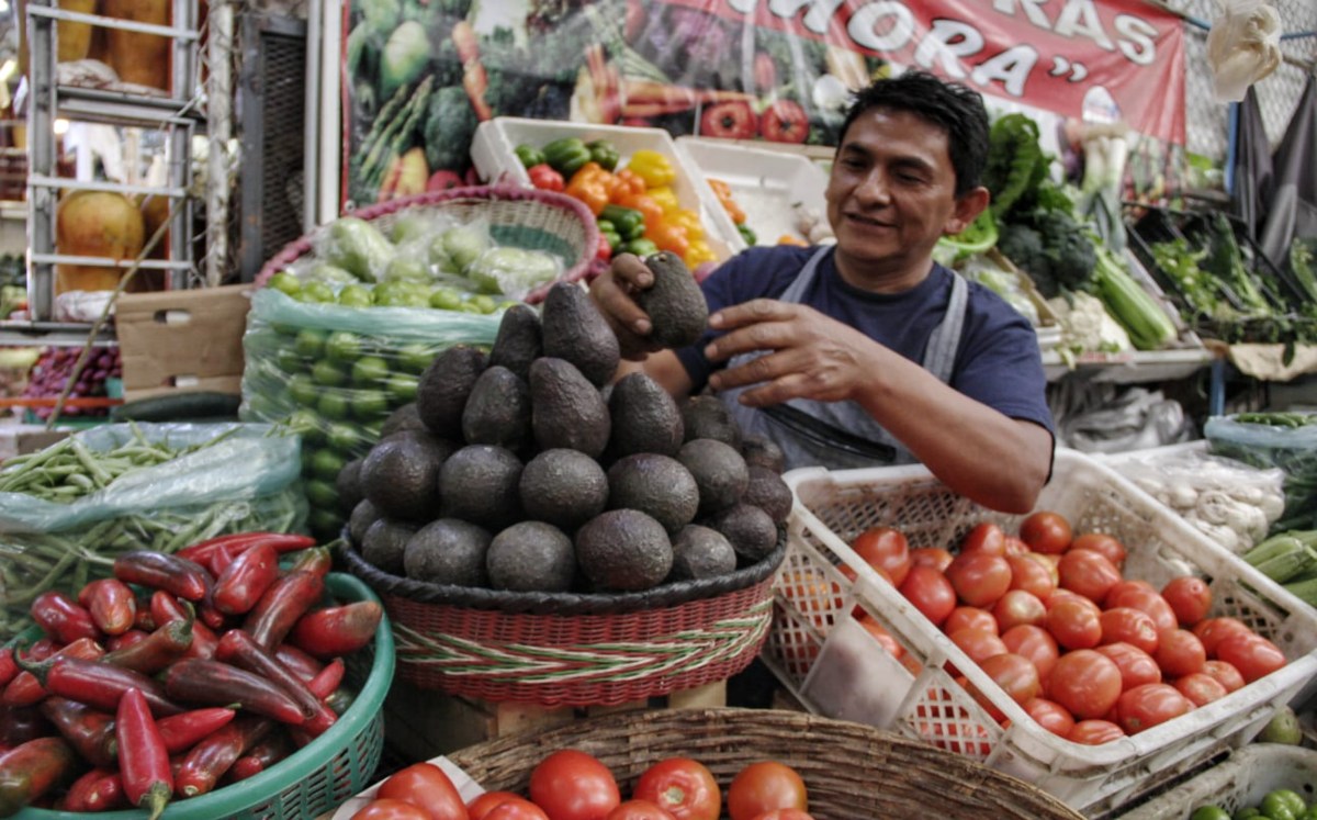 Bajarán precios de productos del campo si no se registran heladas atípicas en Puebla | Melanie Torres