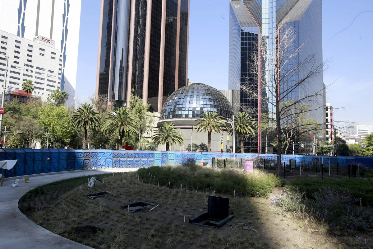 Glorieta del Ahuehuete en el Paseo de la Reforma.│Juan Carlos Bautista