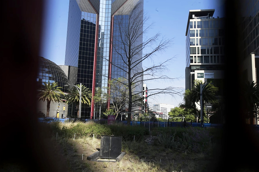 Glorieta del Ahuehuete en el Paseo de la Reforma.│Juan Carlos Bautista