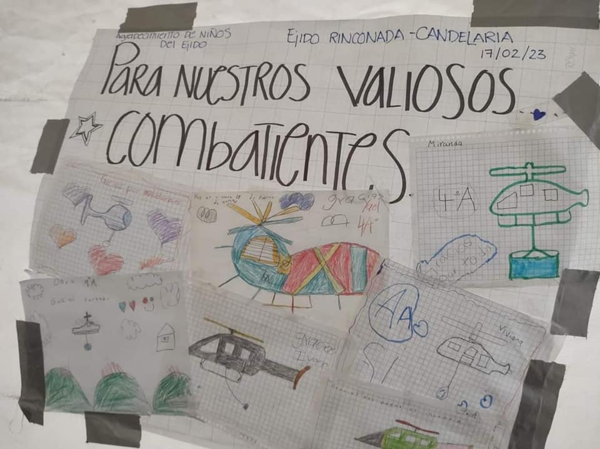 Son alrededor de 6 imágenes las que comprenden el collage. Foto: Protección Civil de Nuevo León