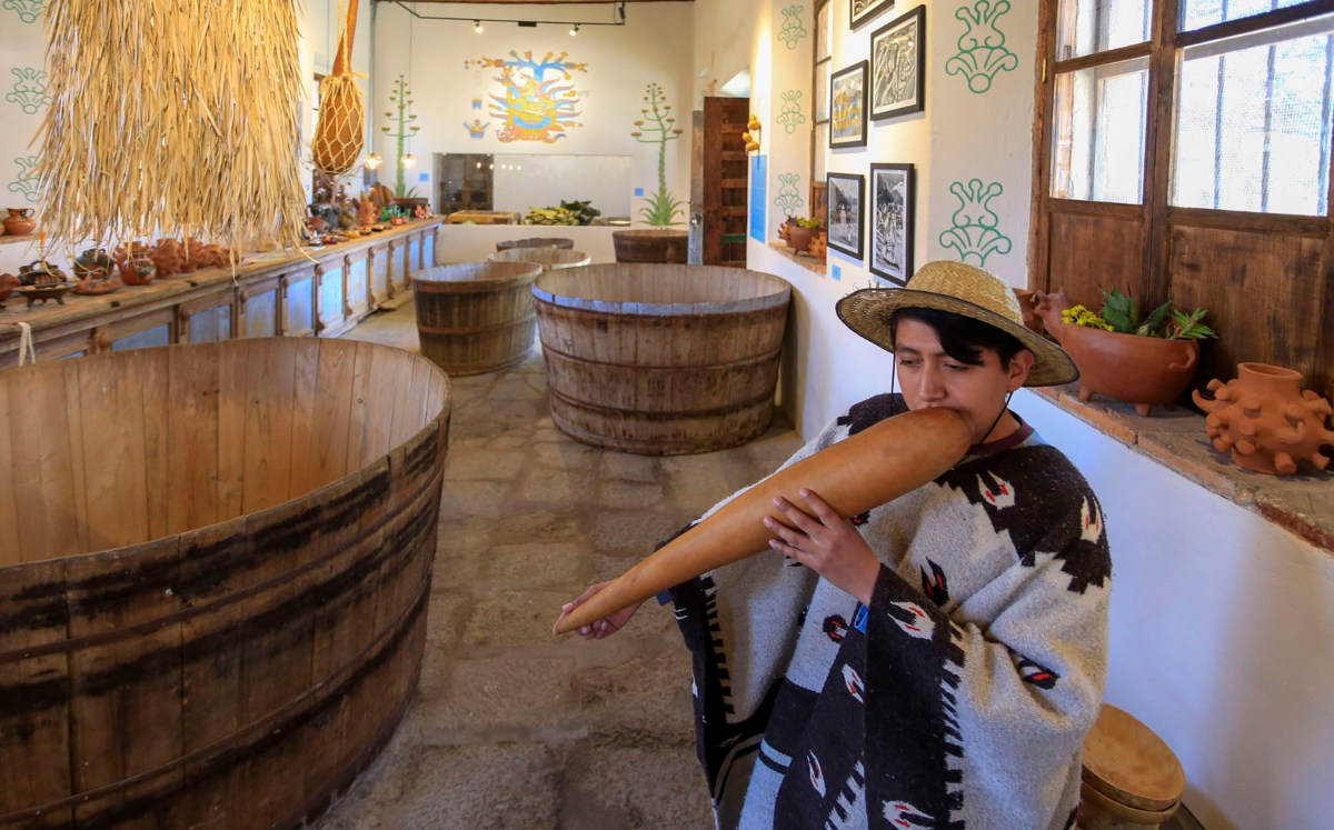 Museo del Pulque | Andrés Lobato