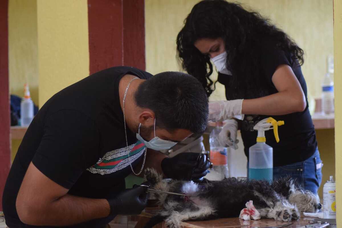 Se requiere centro de control canino para brindar atención adecuada al tema. (Francisco Villeda)