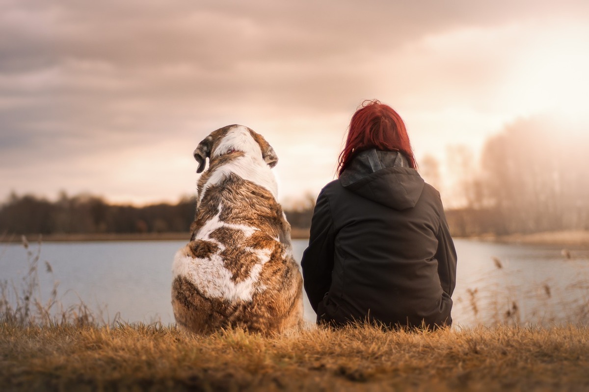 Terapias con animales, un recurso amable. Pixabay