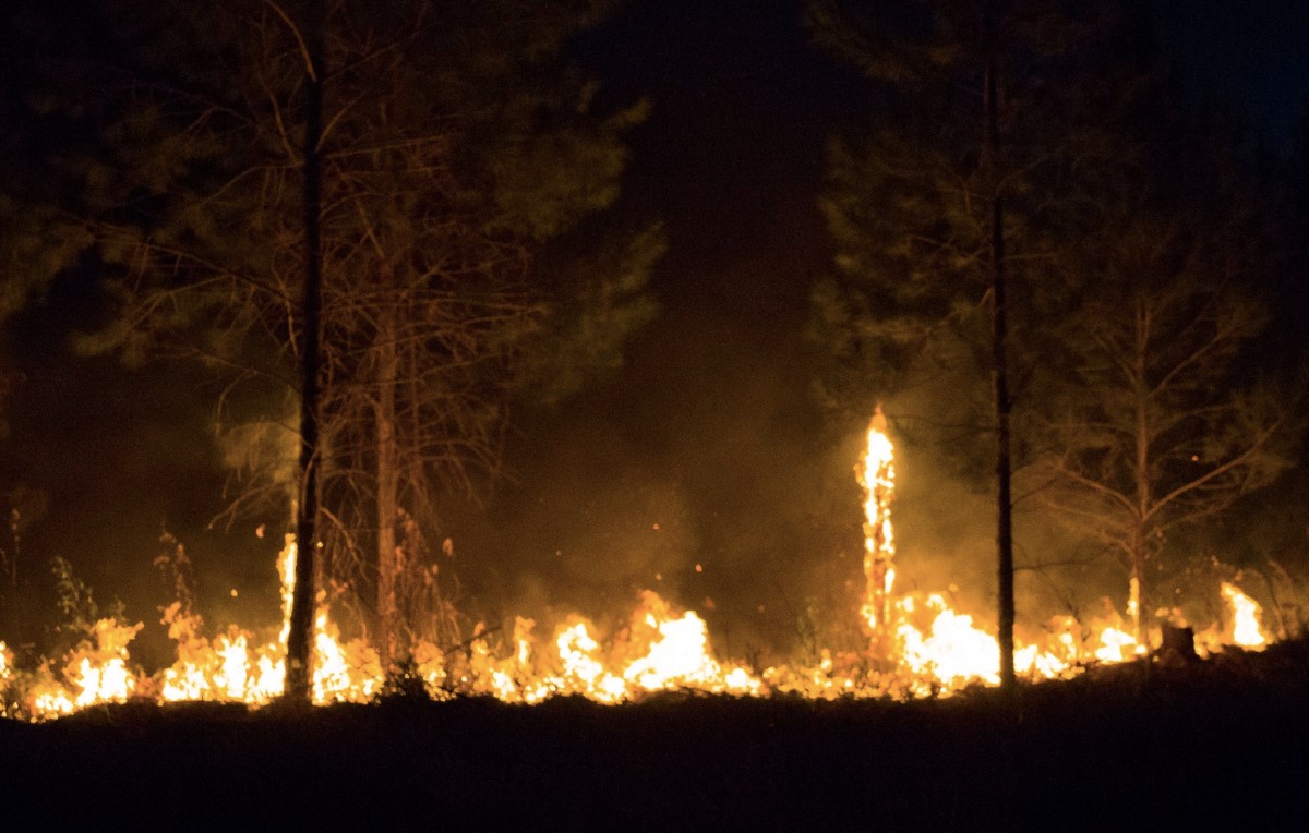 Incendios en la provincia de Mayarí, Cuba (Foto: Facebook/Emilio Rodríguez Pupo)