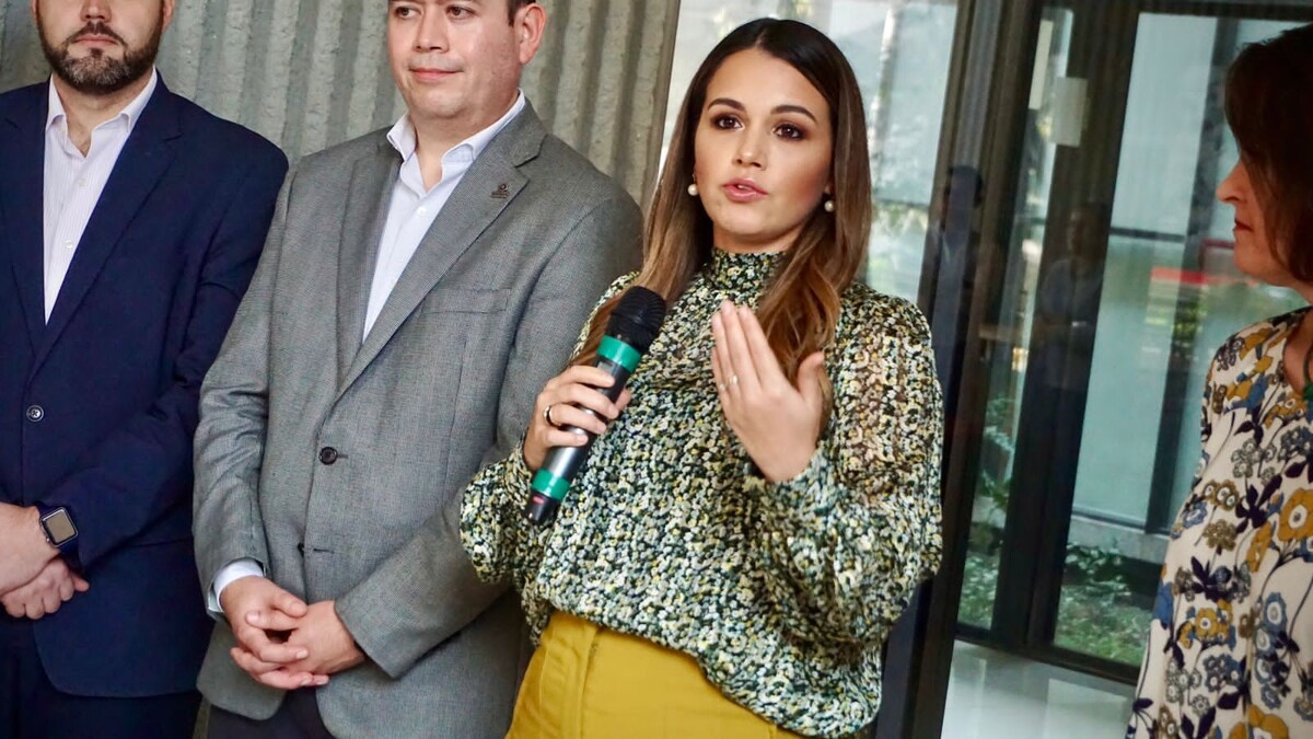 La iniciativa fue propuesta por la diputada del PRI, Lorena de la Garza. Foto: Especial