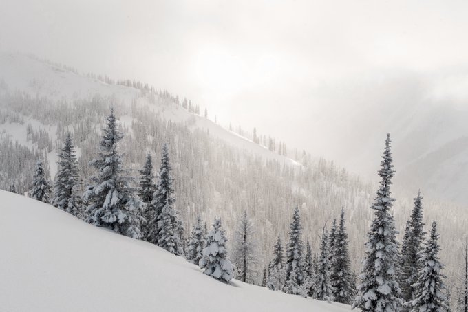 La avalancha ocurrió en Canadá. | @avalancheca
