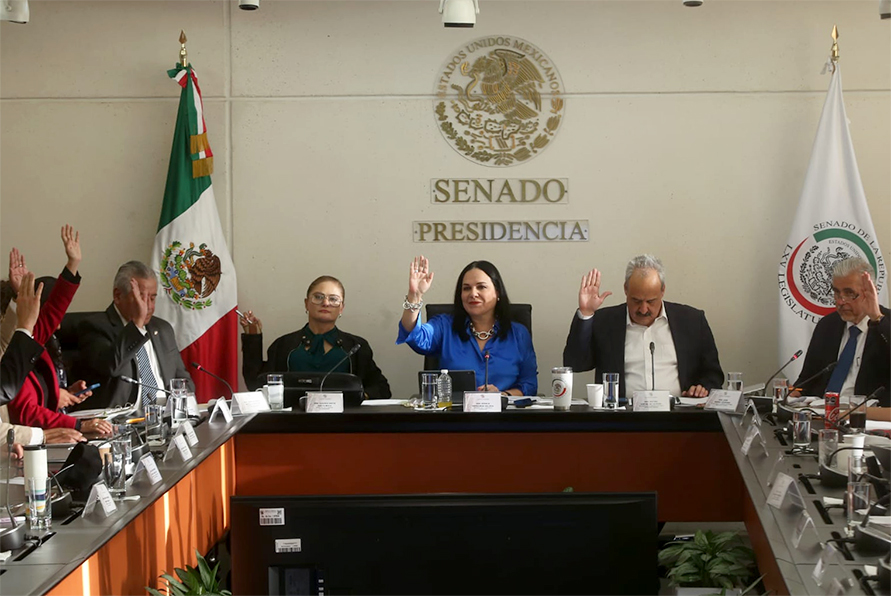 El Senado buscará discutir la reforma electoral del Presidente esta semana.|Araceli López