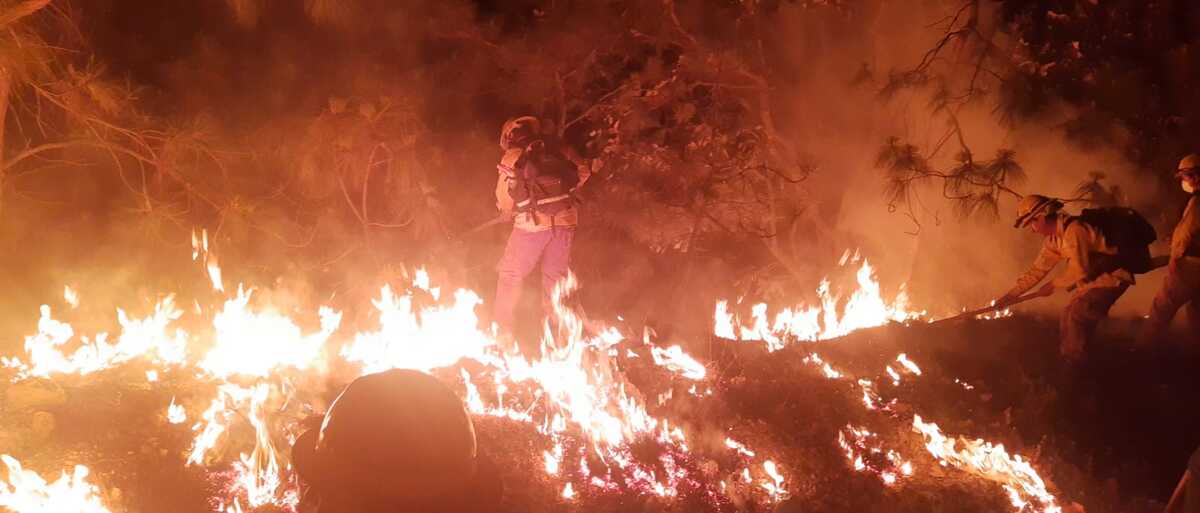 Por la magnitud del siniestro, se desplegó un estado de fuerza de 126 elementos de la Comisión Nacional Forestal