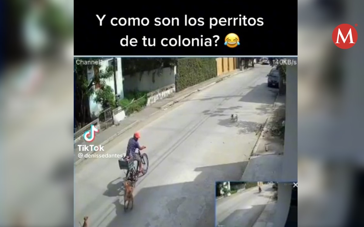 Perros tiran a hombre con su bicicleta y salen huyendo; video viral
