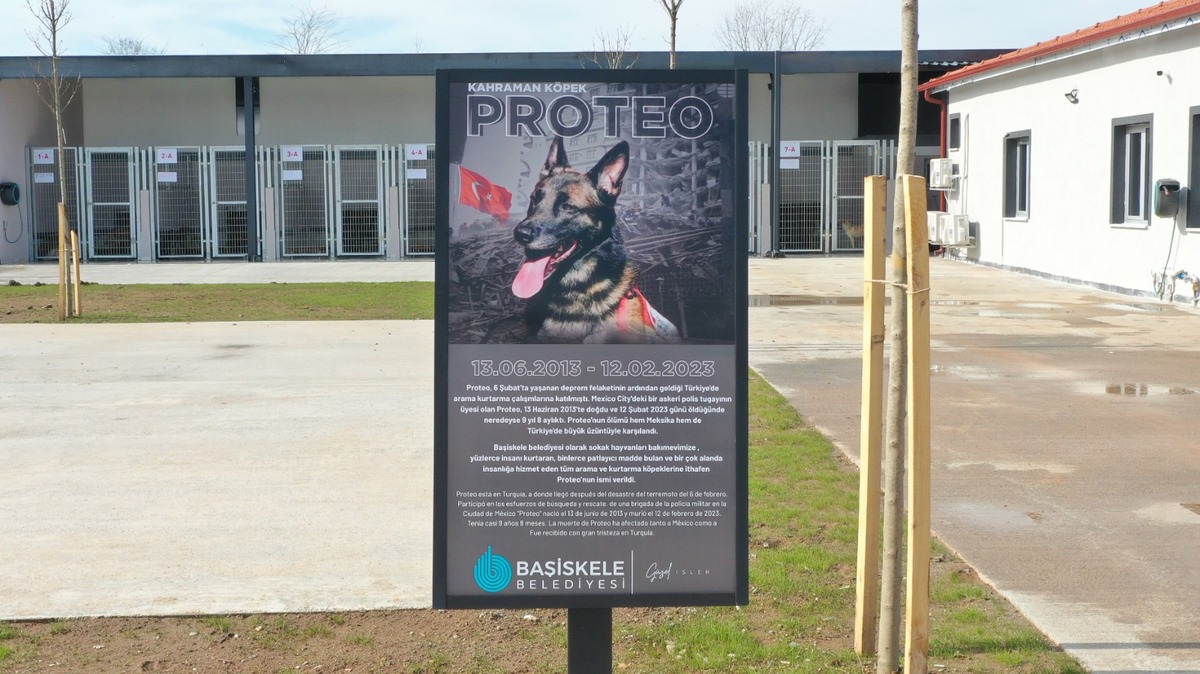 Placa de Proteo.