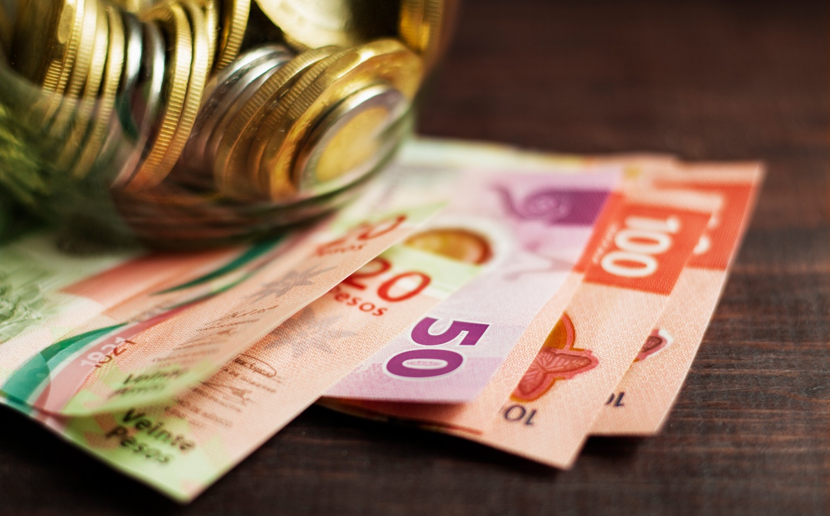 PVEM propone duplicar de 15 a 30 días aguinaldo | Freepik