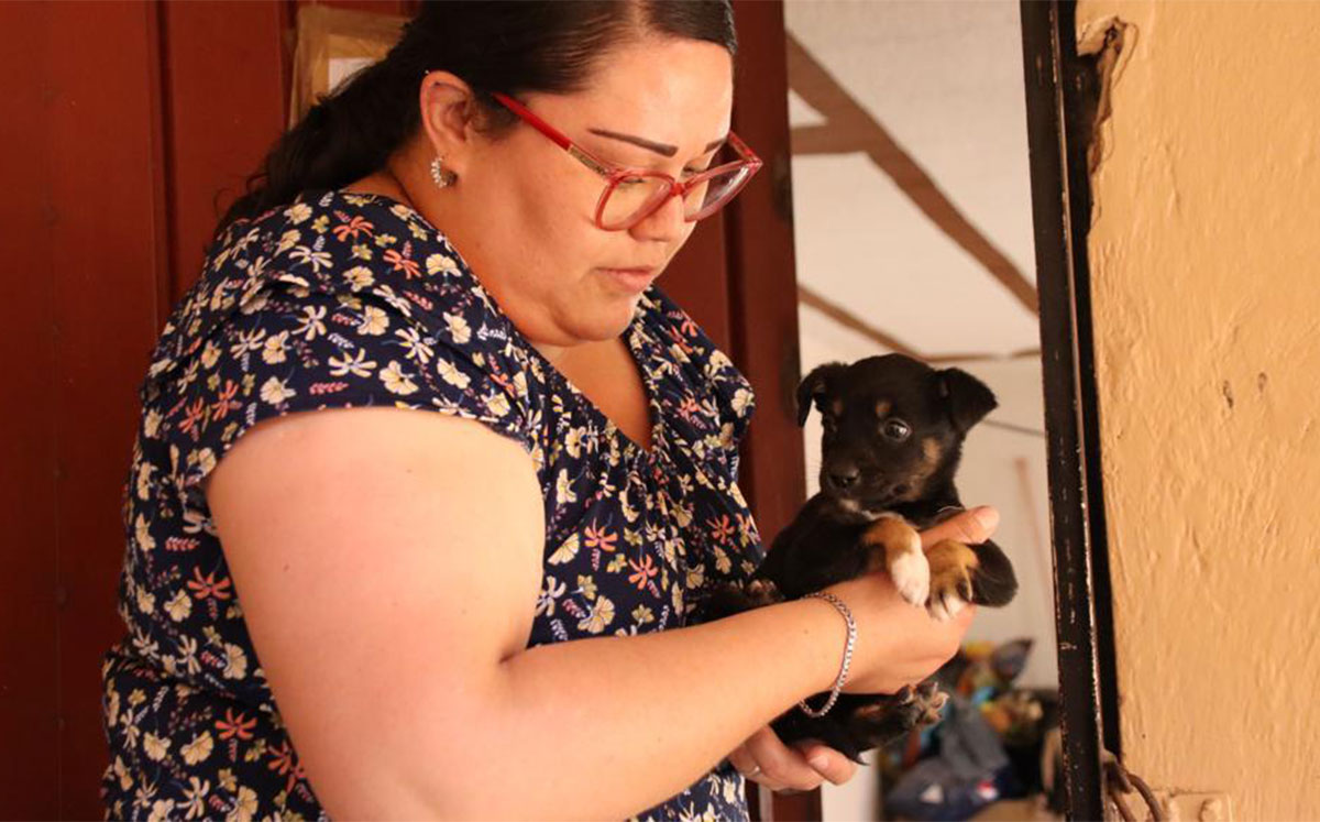 Cachorros se encuentran en buenas condiciones de salud | Especial