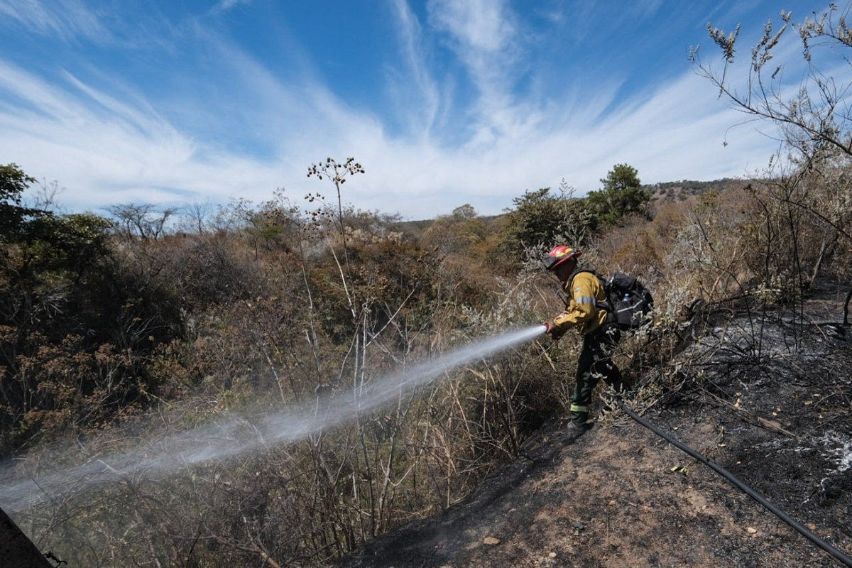 Declaran como extinguido el incendio forestal en Bosque La Primavera (Cortesía)