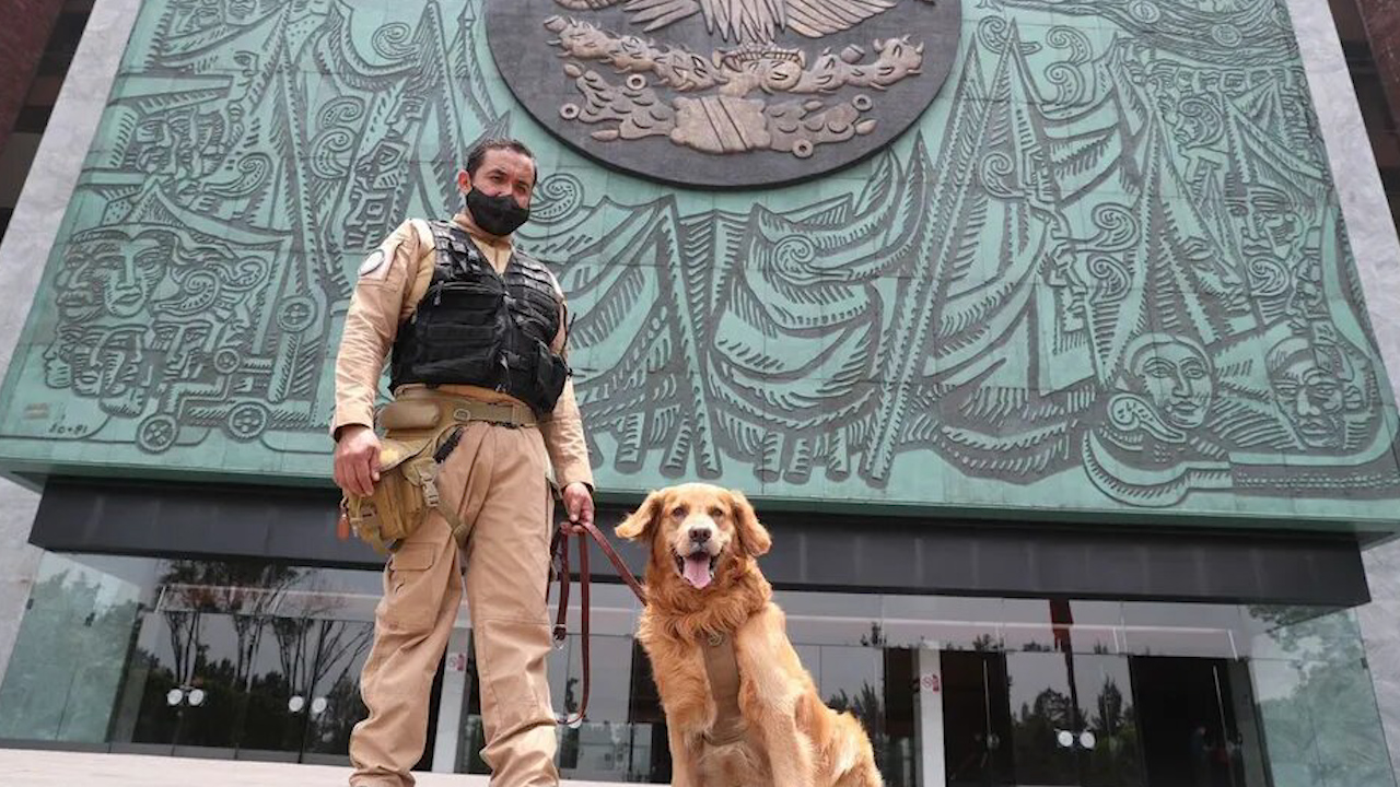 Jubilan con honores al perrito Lucas en el Palacio de San Lázaro