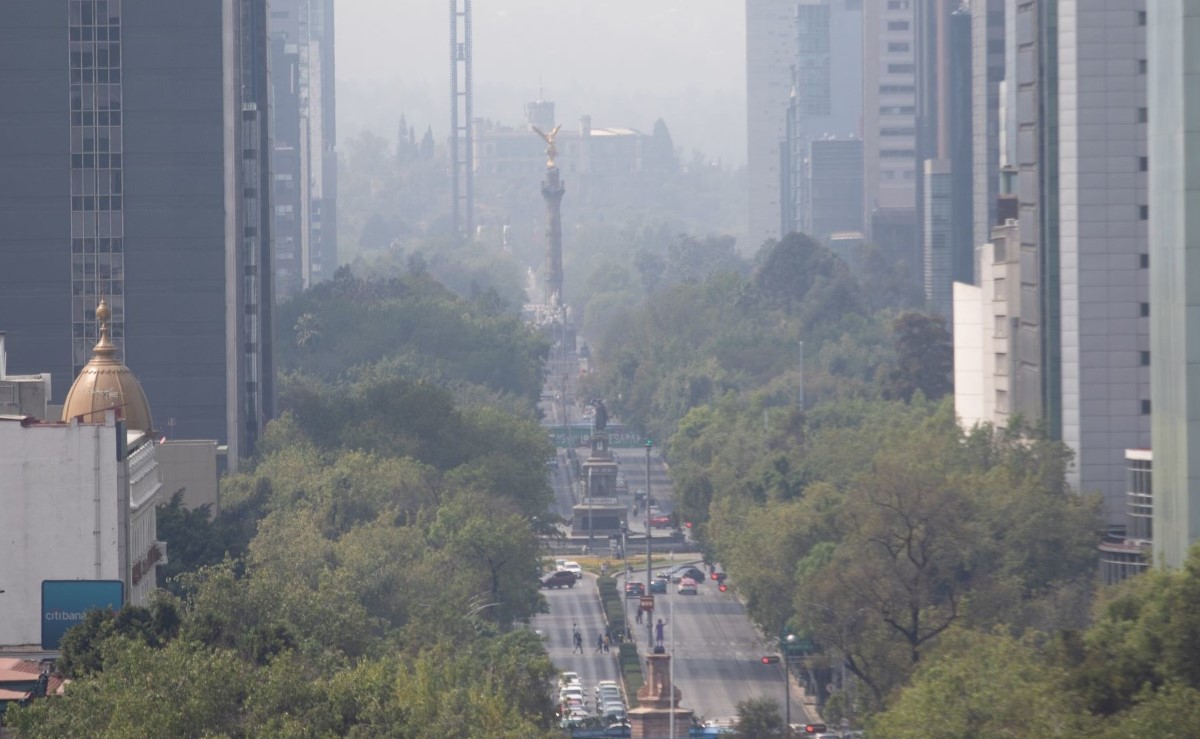 Sheinbaum dijo que se informará sobre las acciones para combatir la contaminación. | Cuartoscuro