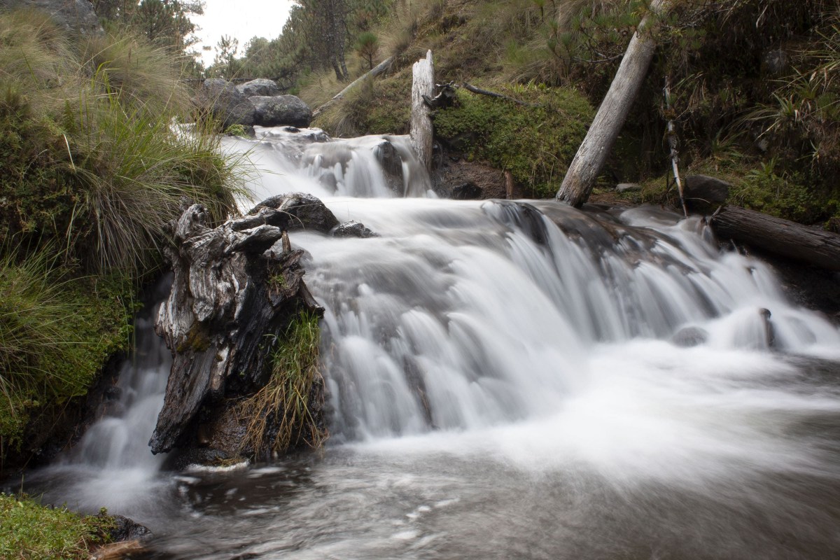Aspectos de río Atoyac | Andrés Lobato