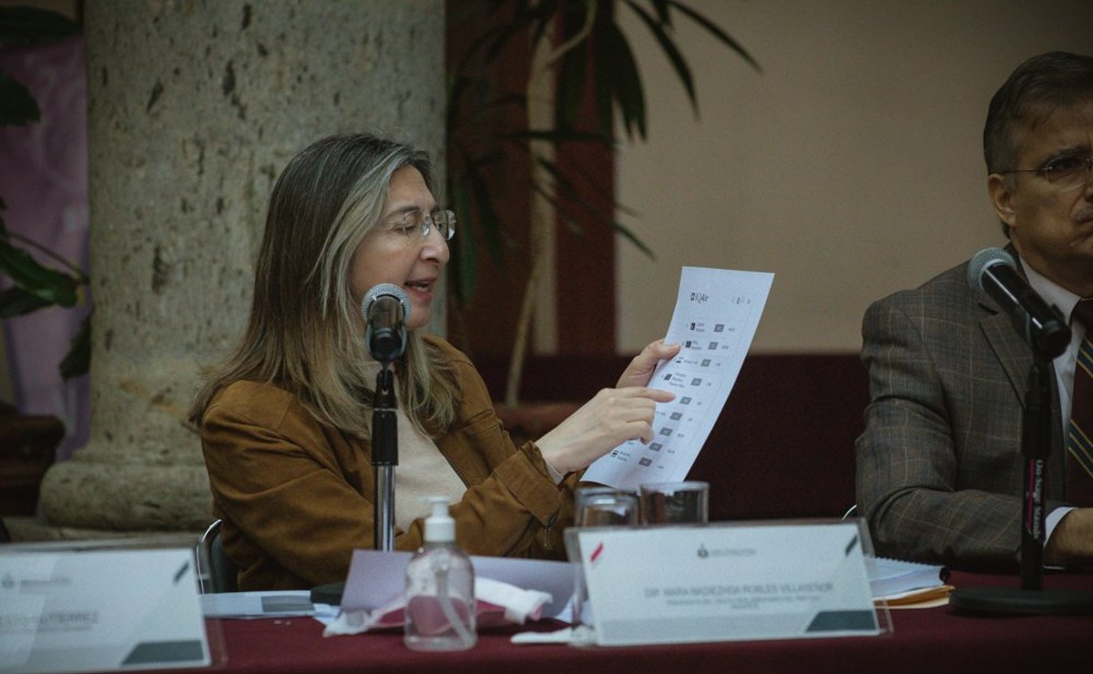Diputada Mara Robles, del partido Hagamos (Twitter @HagamosJalisco)