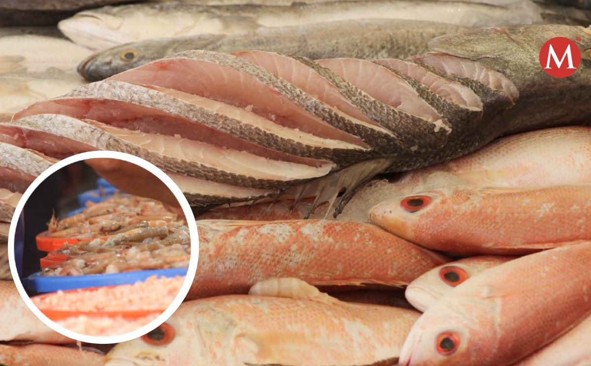 Por temporada de cuaresma abastecen mercado de mariscos en Tampico