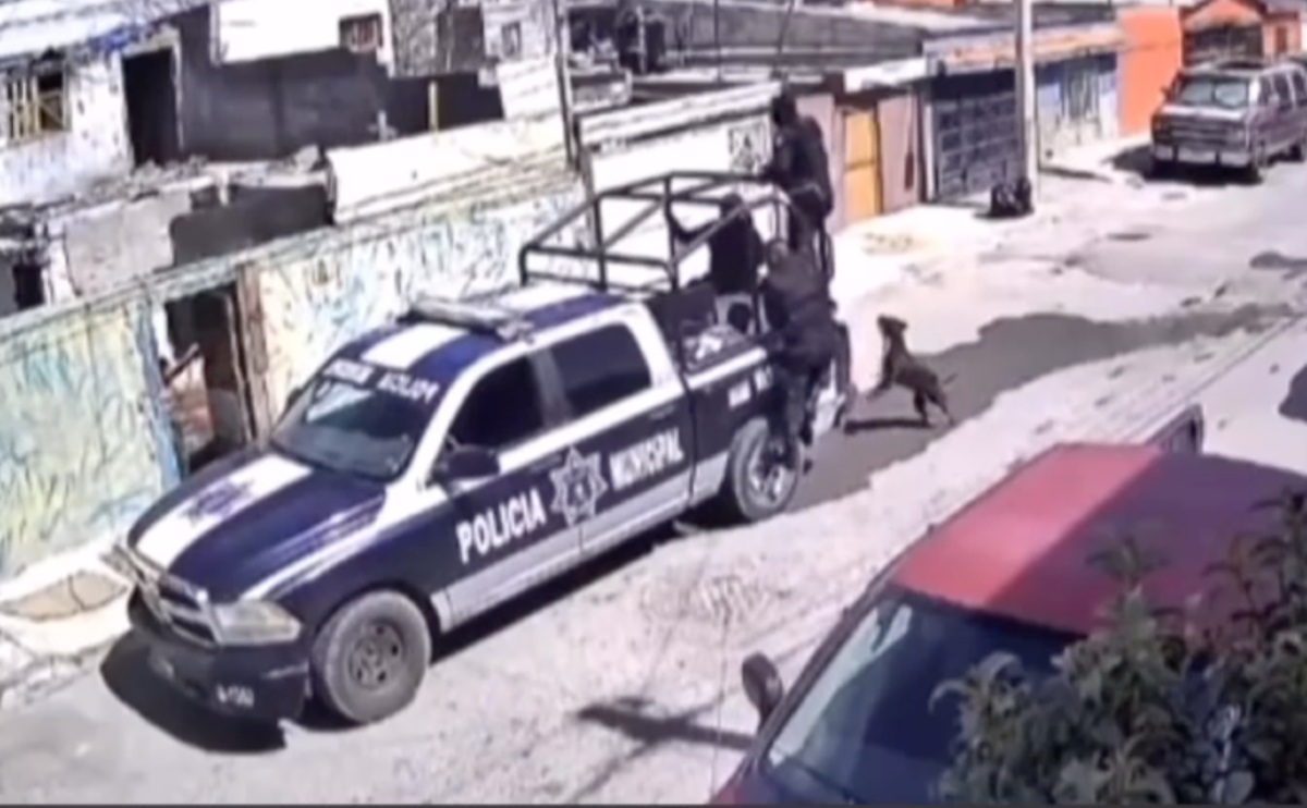 Perro asusta a policías y evita detención de su dueño | Cortesía