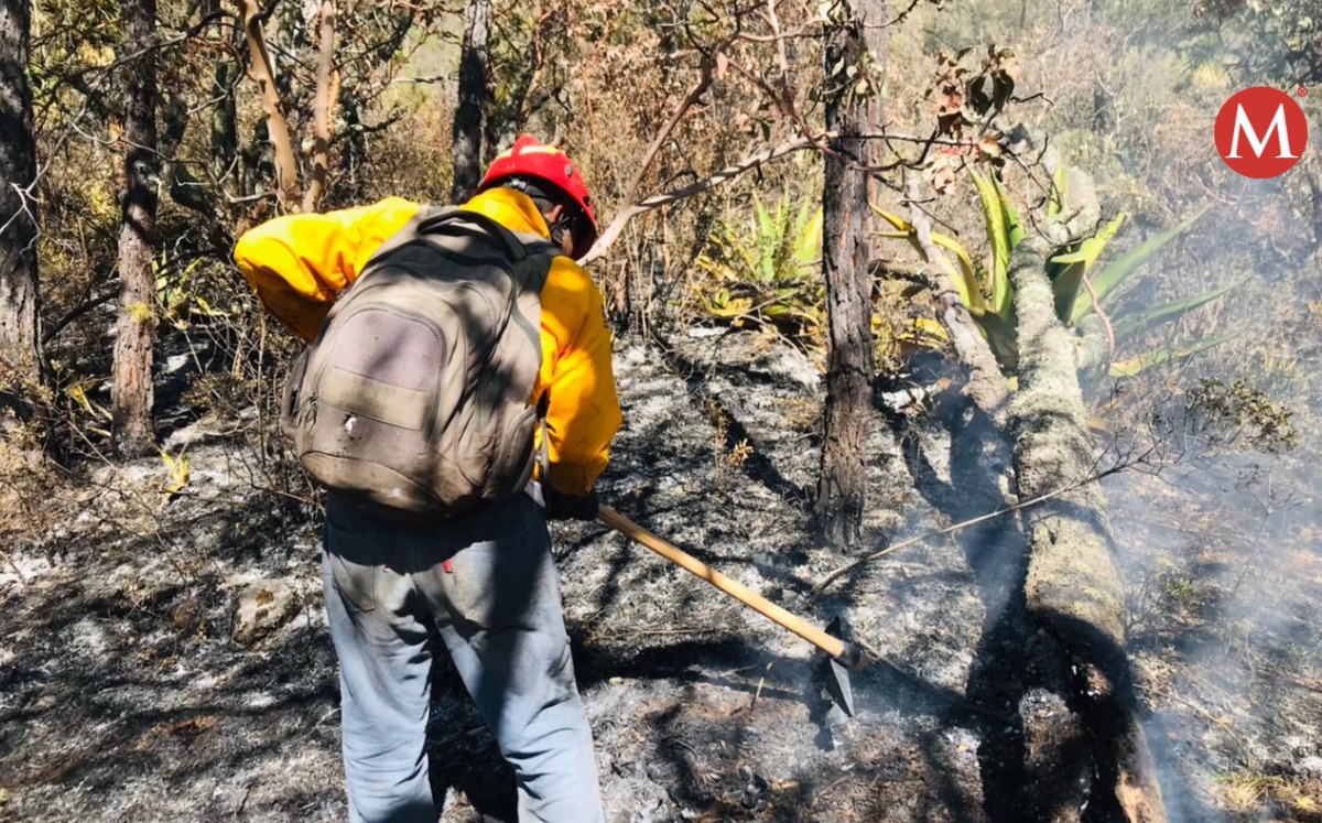 Incendio forestal en Miquihuana, Tamaulipas.