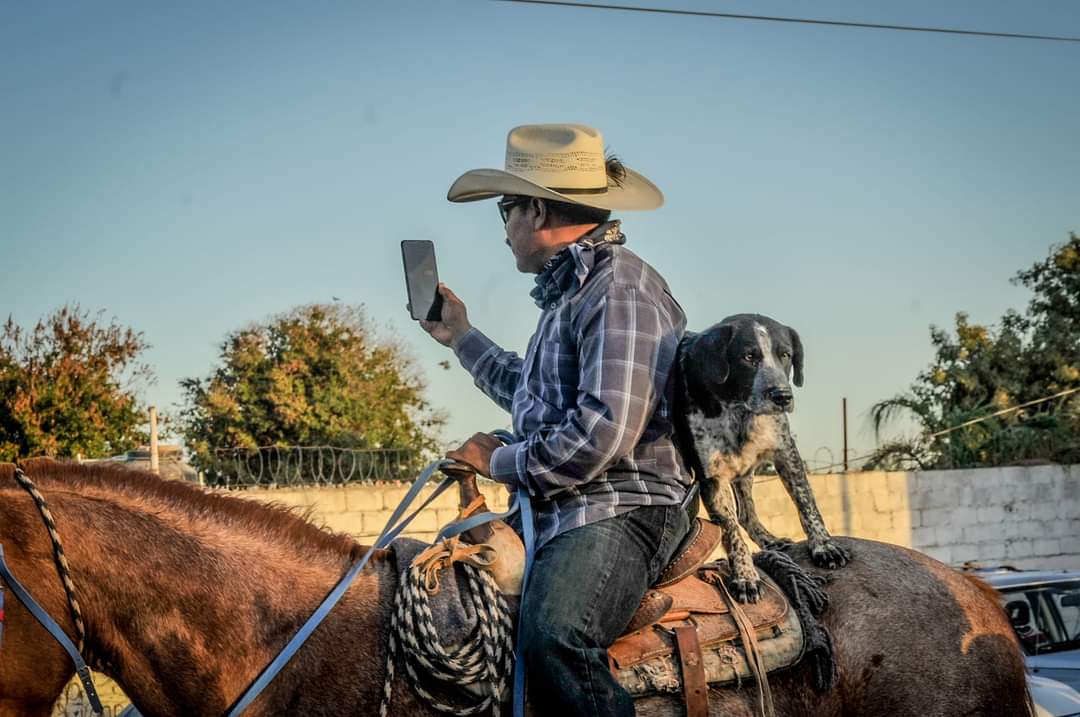 ¡Lomito jinete! Perro causa sensación en cabalgata | Damián Ramírez