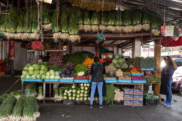 Resaltó la experta que las personas deberían hacerse estudios anuales para saber cómo están sus niveles de vitaminas y a partir de ahí actuar. Archivo