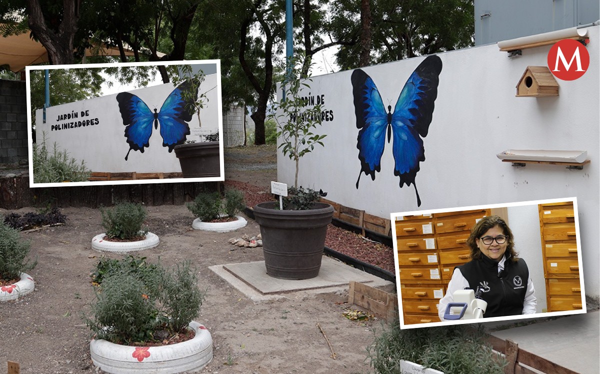 Estudiantes de la UAT crean espacio para especies polinizadoras