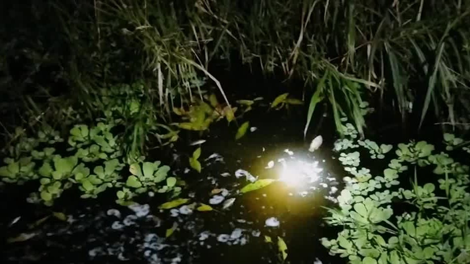 La contaminación de la Cuenca del Río Atoyac afecta a la población; Puebla