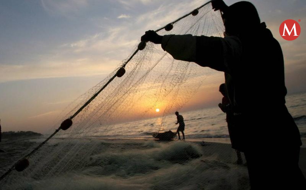 Finaliza la veda y comienza temporada de pesca en norte de Veracruz