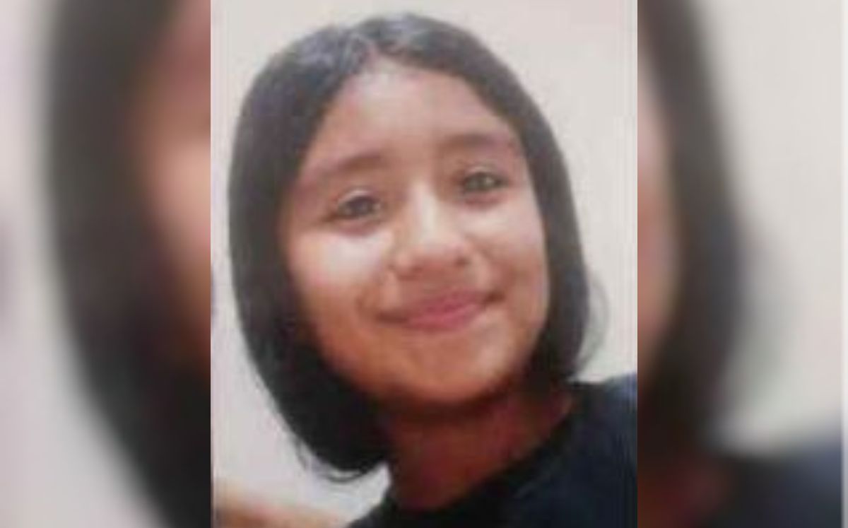 Ashley tiene el pelo lacio y castaño oscuro, mide 1.40 metros y pesa 25 kilogramos.