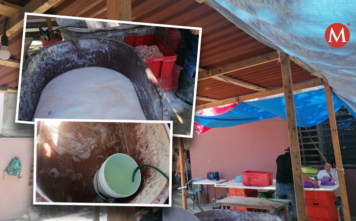 Coepris clausura casa despicadora de camarón en Tampico
