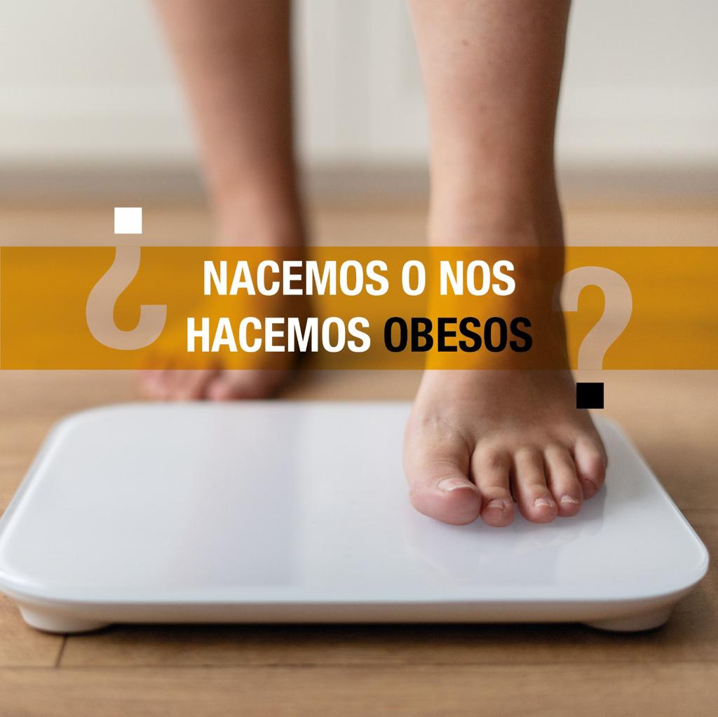 4 de marzo, Día Mundial de la Obesidad.