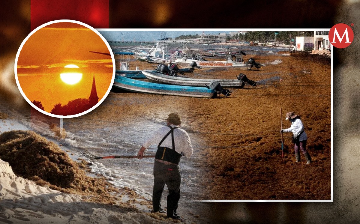 Limpieza de sargazo en Playa El Recodo de Playa del Carmen. | Jesús Quintanar