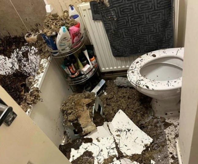 Partes de la estructura quedaron sobre la bañera. | Tomada de The Mirror