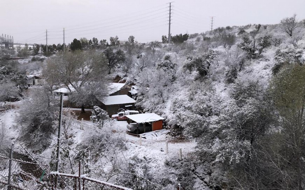 Sonora amanece de blanco tras frente frío