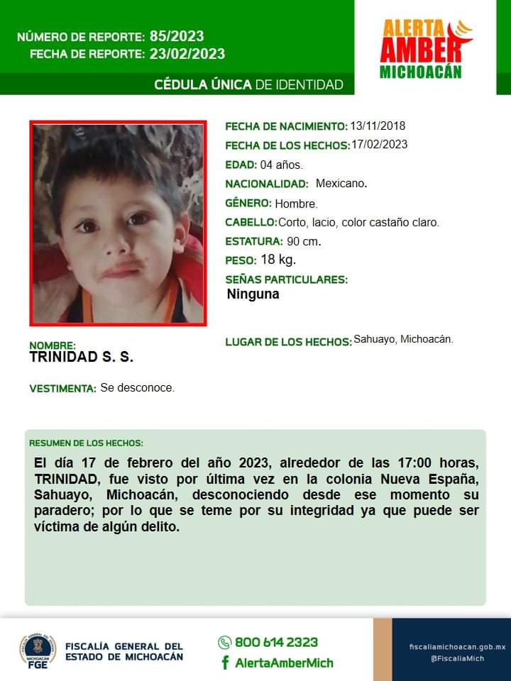 Trinidad de 4 años se encuentra desaparecido al igual que sus dos hermanos. | Especial