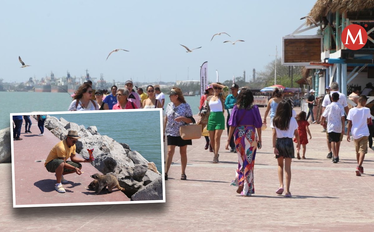 Cientos de familias disfrutan de la playa Miramar en Ciudad Madero