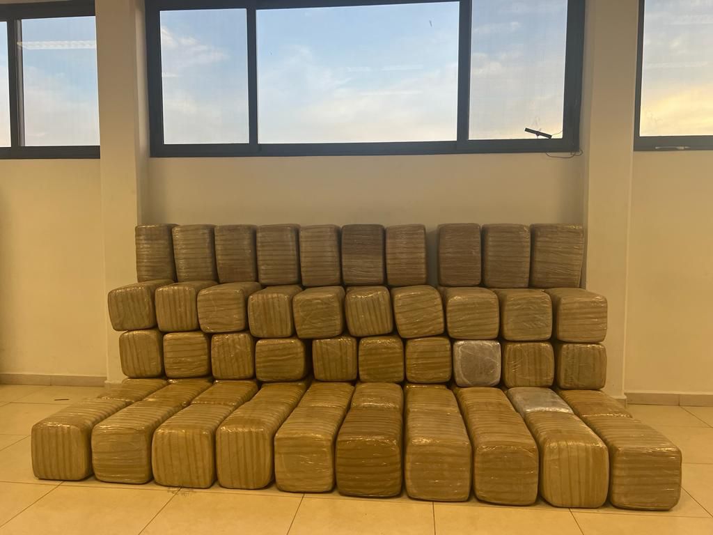 Los paquetes estaban apilados en cuatro tarimas. Foto: Especial