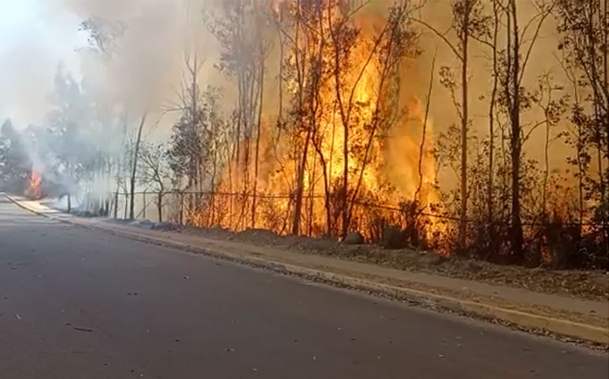 Se registró un incendio forestal de pasto, en Atizapán de Zaragoza | Especial