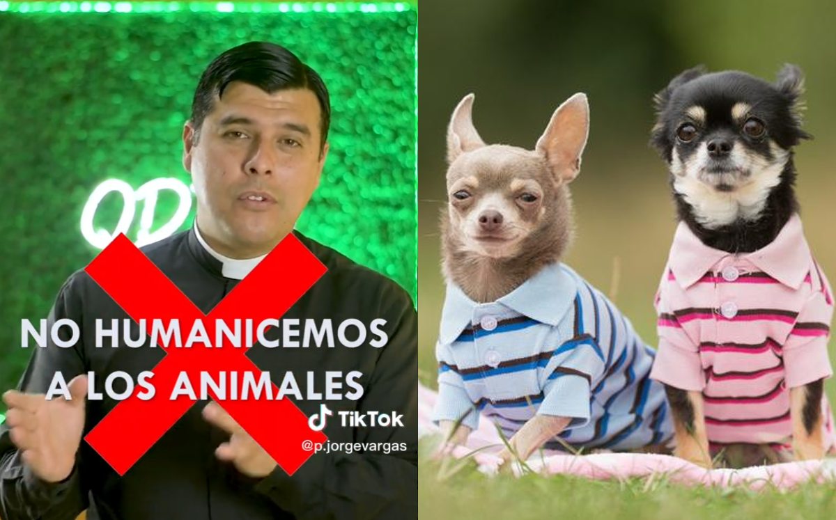 Sácerdote pide no humanizar a los animales | Especial