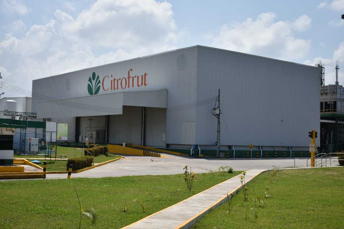 Citrofrut indicó que activaron todos los protocolos para que la producción sea amigable con medio ambiente (Archivo)