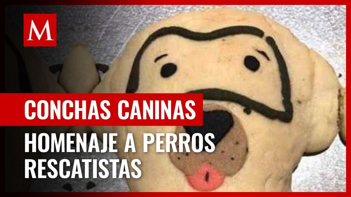 Conchas de 'Frida' y 'Proteo': la nueva creación de panadería en Cholula, Puebla