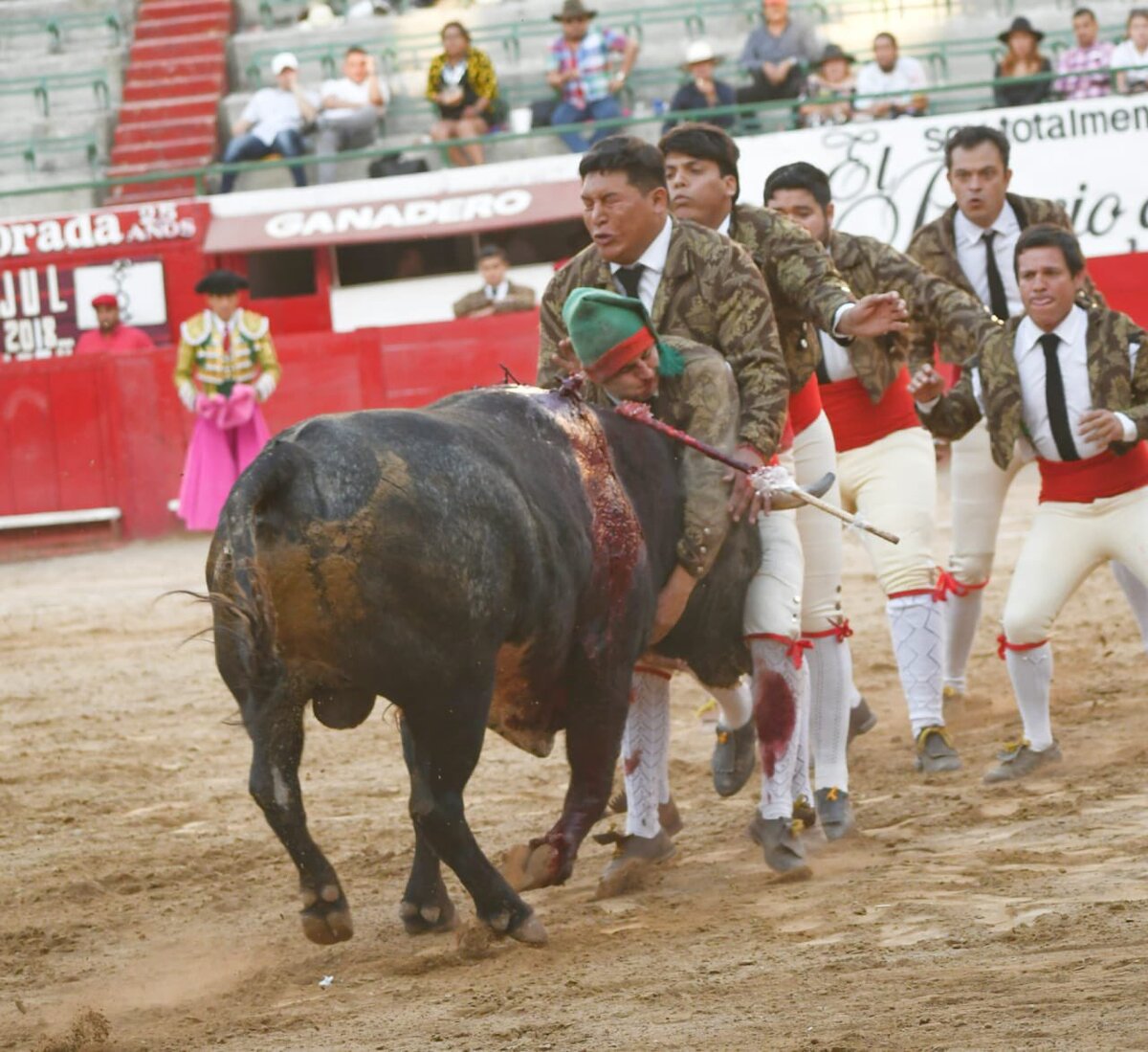 Emotiva despedida del forcado Luis Montes de Oca (Cortesía)